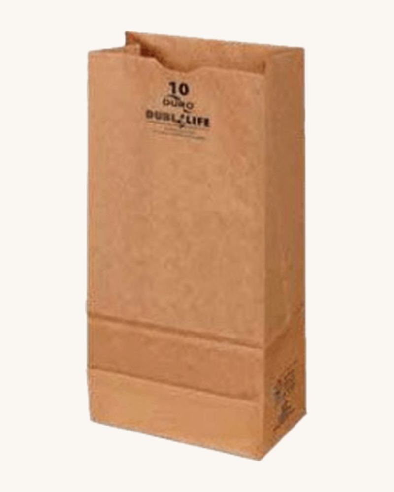 10 Kraft Paper Bags (500cs)