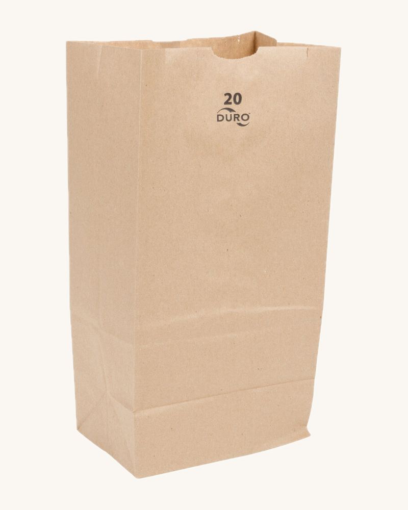 20 Kraft Paper Bag (ct:500pcs) Shorty
